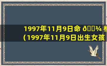 1997年11月9日命 🌾 格（1997年11月9日出生女孩的八字）